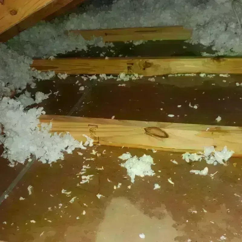 Attic Water Damage in Dawes County, NE